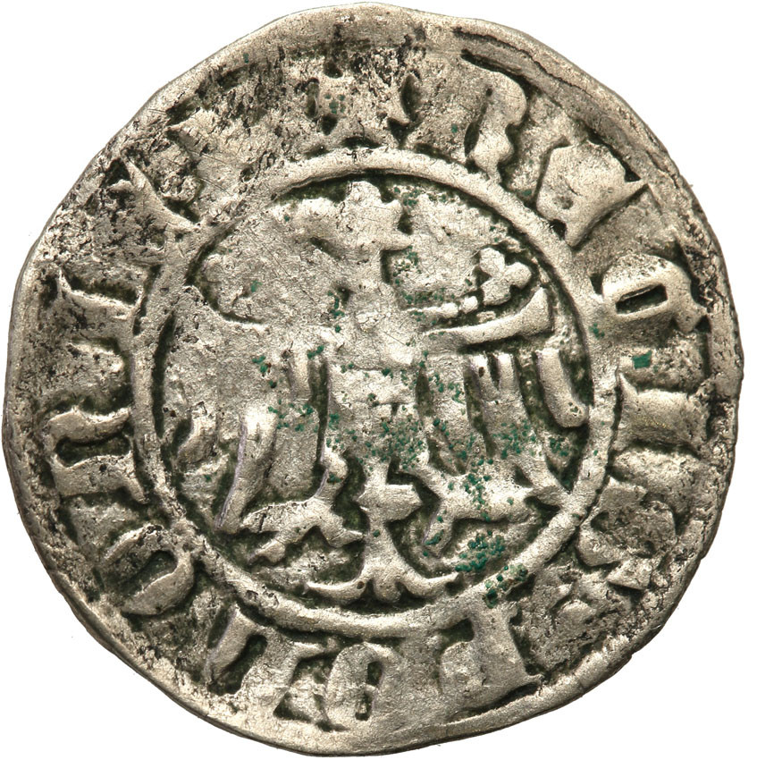 Kazimierz III Wielki (1333-1370). Kwartnik duży (półgrosz), Kraków - RZADKOŚĆ R5